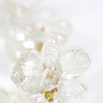 A close up of the flower on a white background