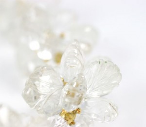 A close up of the flower on a white background