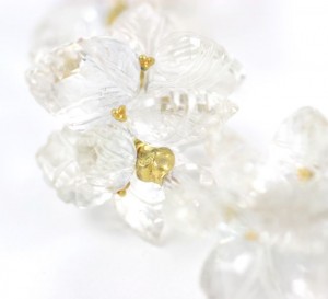 A close up of the flower petals on a white background