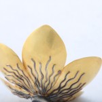 A close up of the flower petals on a white background