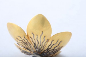 A close up of the flower petals on a white background