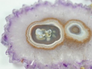 A close up of the inside of an agate slice