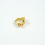 A gold ring with two lines on it